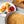 Laden Sie das Bild in den Galerie-Viewer, STEINER´s Low Carb High Protein Semmelbrösel
