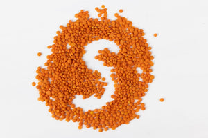Was sind Net Carbs/ Netto-Kohlenhydrate?