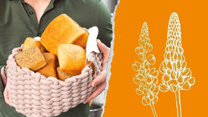 Brötchen im Korb daneben eine gezeichnete Lupine