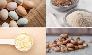 STEINER´s nutzt mehrere Proteinquellen, die sich ideal ergänzen. Zu sehen sind Eier, Weizenprotein, Lupine und Molkenprotein.